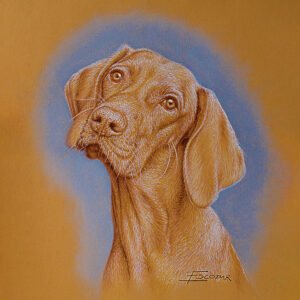Colored pencil portrait of a rust-colored dog against a blue background